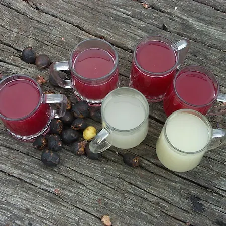 Am Marktplatz - Landgasthof Wratschko - Hotel