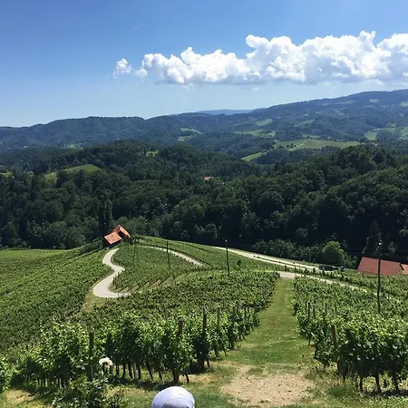 酒店 Wratschko - Wirtshaus - - Ehem Am Marktplatz 甘利特茨