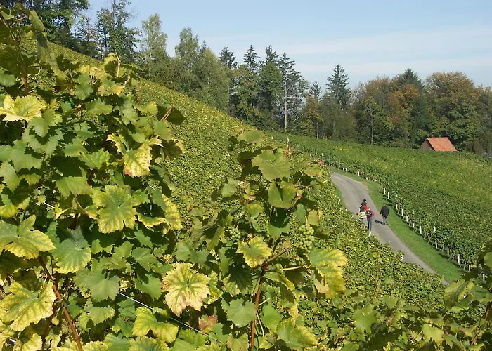 Am Marktplatz - Landgasthof Wratschko - Hotel 4*