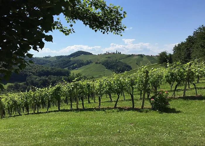 Am Marktplatz - Landgasthof Wratschko - 4*